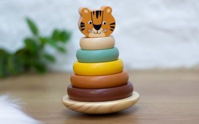 Jouets en bois : comment bien les entretenir et les conserver ?